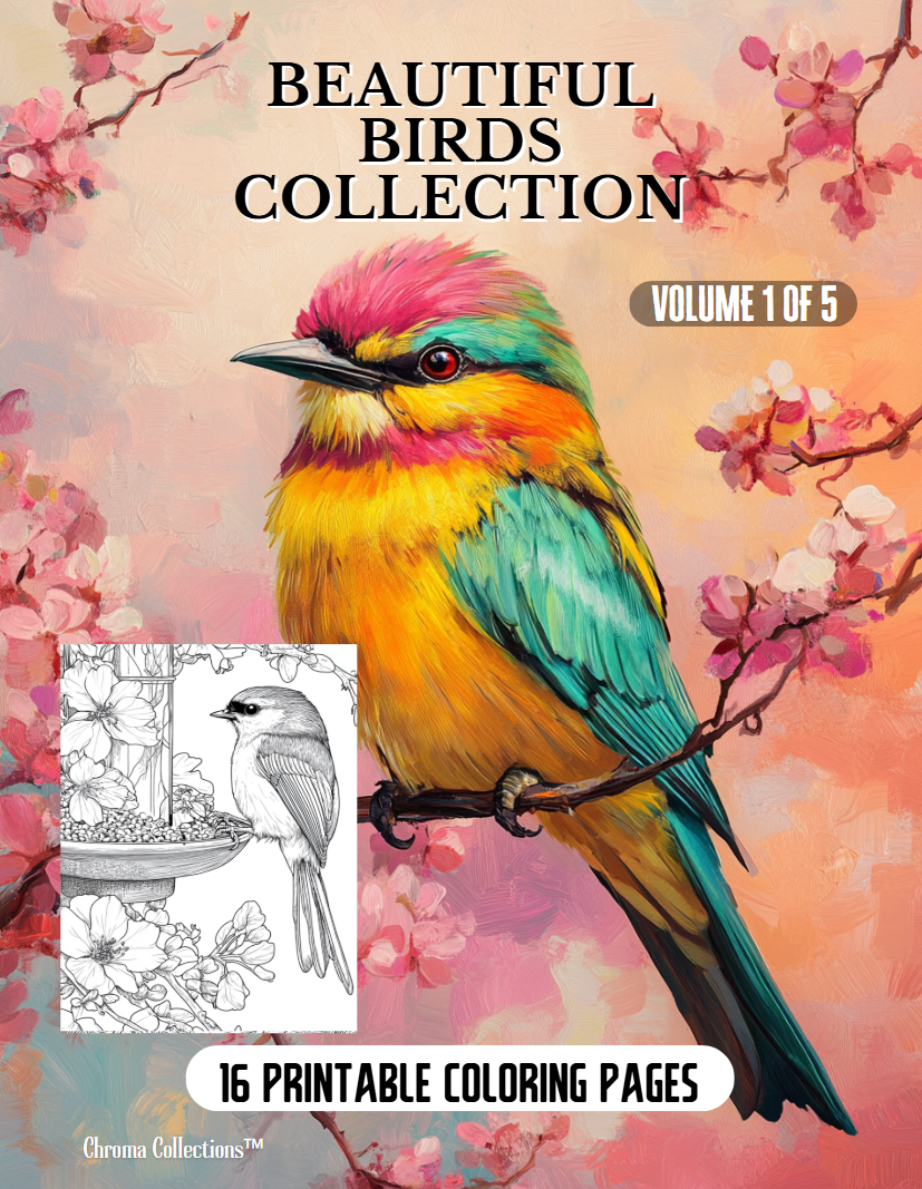 Beautiful Birds