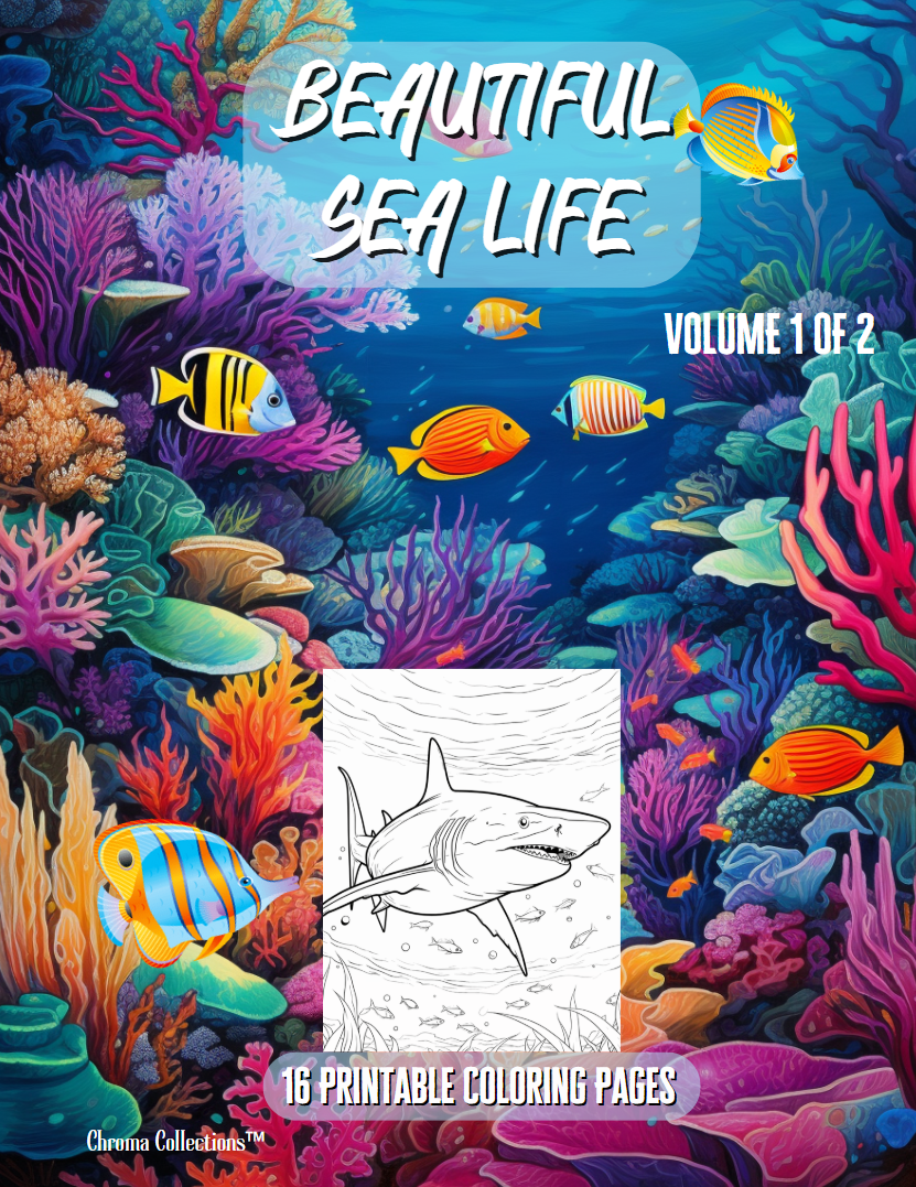 Beautiful Sea Life