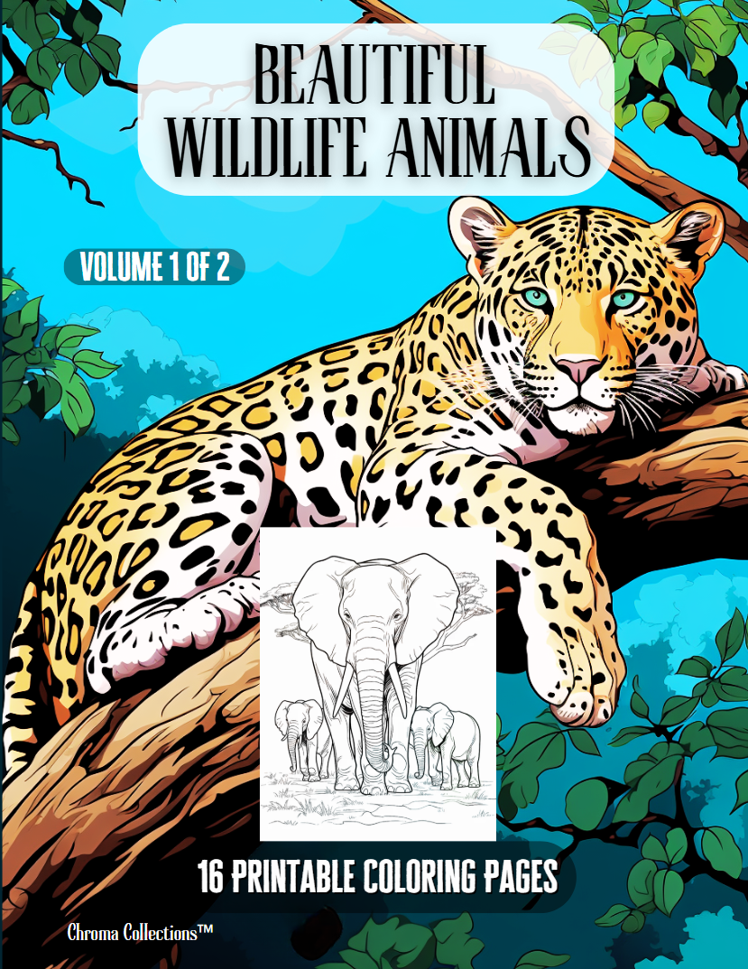 Beautiful Wildlife Animals